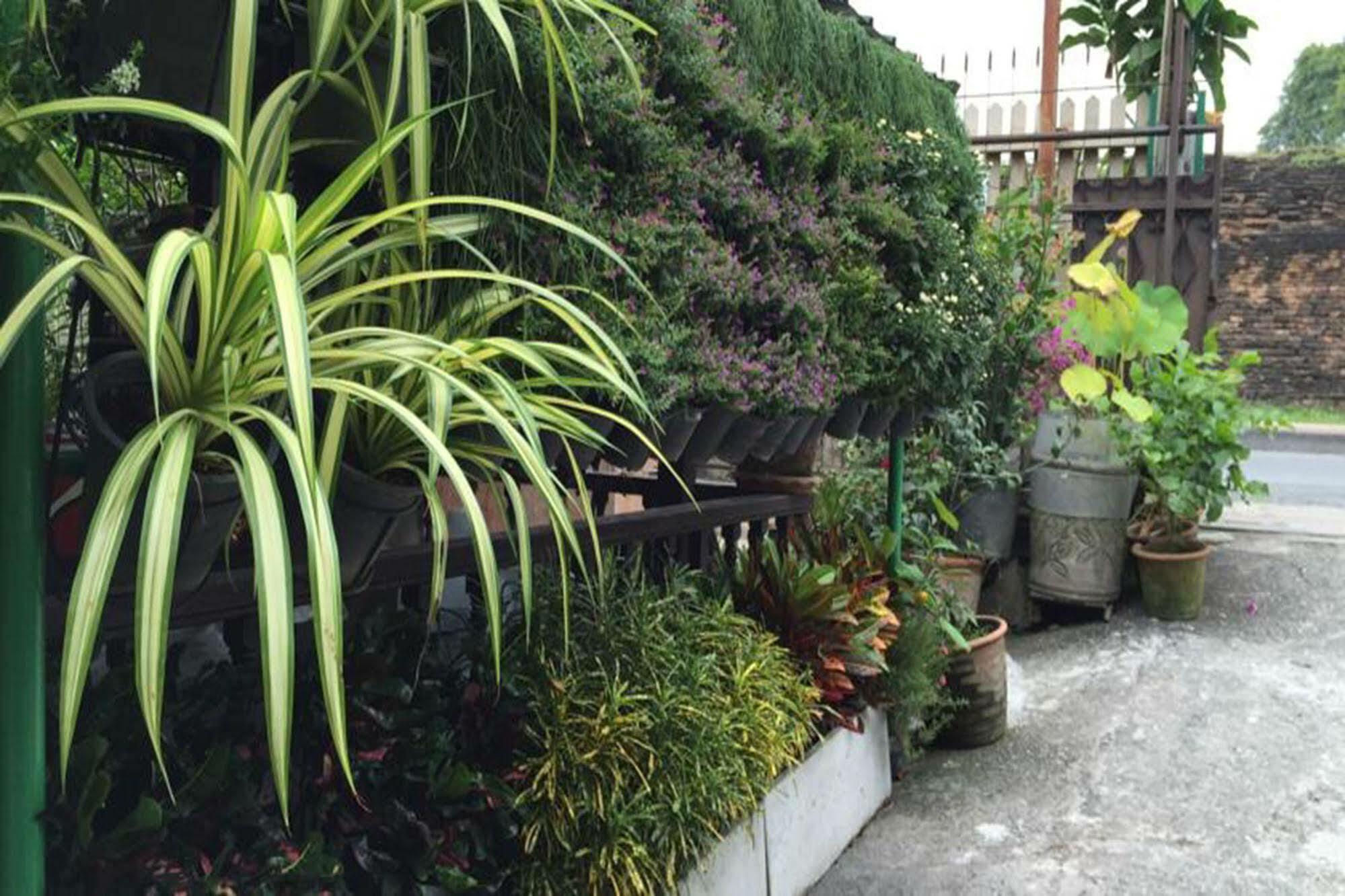 Couette-café Siriwan